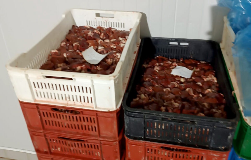 FOTO: Radio televizija Kruševac