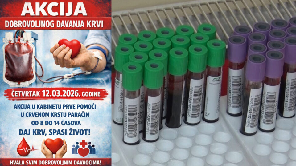 FOTO: Kanal M