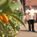 FOTO: Kanal M