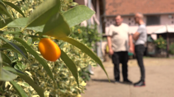 FOTO: Kanal M
